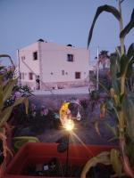 Alternative living and gardening
