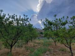 Alternative living and gardening