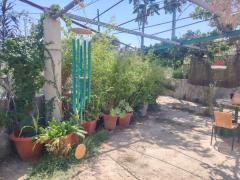 Alternative living and gardening