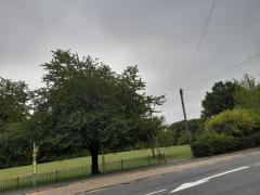 Help needed in London Surrey with Housekeeping/ Gardening/ Dog walking