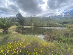 Come join us in nature! On our land near Silves were building a peaceful retreat space.
