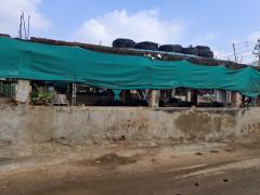 Language Exchange and Culture exchange and light farming