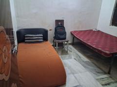 Language Exchange and Culture exchange and light farming