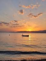 Help us grow a Healing Eco-Space by the Beach