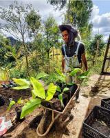 Sustainable Living & Regenerative Farming Project in Nova Friburgo, Brazil