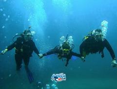 Logistical support at the diving center