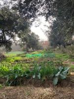 Se necesitan voluntarioxs en colectivo agroecologico,Zaragoza.