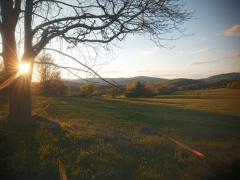 Help us rebuild of an old farmstead in the south of Slovakia