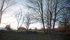 Help us rebuild of an old farmstead in the south of Slovakia