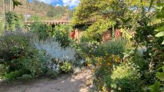 Eco-assistant: organic gardens and orchards