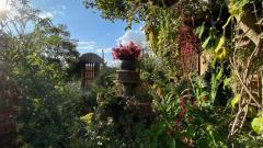Eco-assistant: organic gardens and orchards