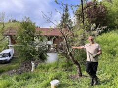 Help needed in Acqui Terme