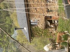 Se necesitan dos voluntarios para proyecto familiar en los Pirineos de Lida, Espa