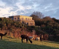 Help needed on a Smallholding in Co.Clare
