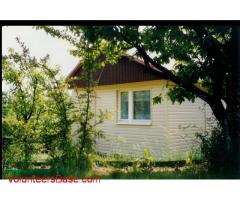 Gardening, weeding and fence paininting in a small garden near Krakow