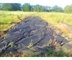 Help needed on a tiny farm in the South of Russia. Organic Garden and Construction work.