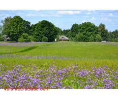 Help with general maintainance and gardening on a eco farm in the green heart of Latvia