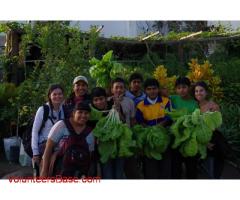 Bemelsa: Volunteering in Peru