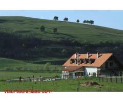 Helping out in a buffalo farm in Transylvania!