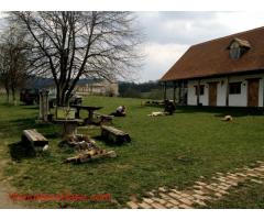 Helping out in a buffalo farm in Transylvania!