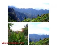 organic Farm, la Gomera