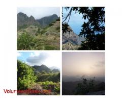 organic Farm, la Gomera