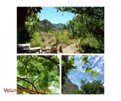 organic Farm, la Gomera