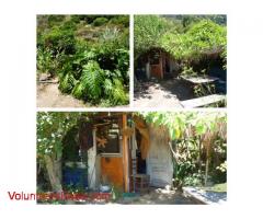 organic Farm, la Gomera