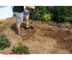 Home-based vegetable gardens & landscaping at the University of Virginia