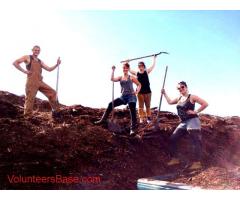 Help build an Earthship at a community in NW Canada