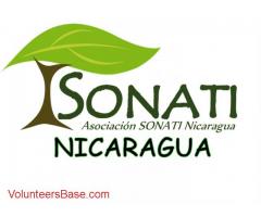 Help for Receptionist Hostel in Leon  Nicaragua