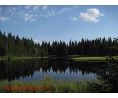 Volunteering in Beautiful Mountains of Czech republic with friendly family