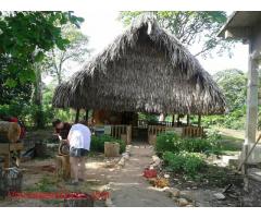 Preserve Garifuna Culture with Drumming & Dance in S. Belize