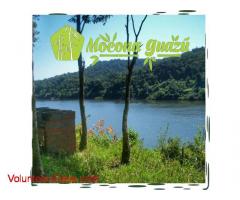 Mocona Guazu en los Saltos del Mocona Misiones Argentina