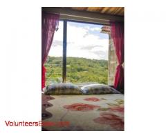 Volunteer needed in Monteverde Costa Rica